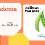 as ... as angielski wyrażenia z as ... as idiomy as ... as po angielsku porównania w języku angielskim angielski stopniowanie porównawcze angielski konstrukcje porównawcze as fit as a fiddle znaczenie konstrukcja as ... as angielski najpopularniejsze wyrażenia z as ... as idiomy porównawcze po angielsku co znaczy as fit as a fiddle jak używać as ... as po angielsku lista porównań z as ... as ciekawe idiomy angielskie z as ... as przykłady wyrażeń z as ... as porównania idiomatyczne w angielskim jak mówić płynnie – wyrażenia z as ... as As cold as ice – zimny jak lód As cool as a cucumber – spokojny, opanowany As busy as a bee – bardzo zajęty As blind as a bat – ślepy jak kret As brave as a lion – odważny jak lew As clear as crystal – jasny jak kryształ As quick as lightning – szybki jak błyskawica As sharp as a knife – ostry jak nóż As strong as an ox – silny jak wół As light as a feather – lekki jak piórko As free as a bird – wolny jak ptak As happy as a clam – bardzo szczęśliwy As tough as nails – twardy jak gwoździe As easy as pie – bardzo łatwy As flat as a pancake – płaski jak naleśnik As smooth as silk – gładki jak jedwab As bright as a button – bystry, inteligentny As loud as thunder – głośny jak grzmot As old as the hills – bardzo stary As sweet as honey – słodki jak miód