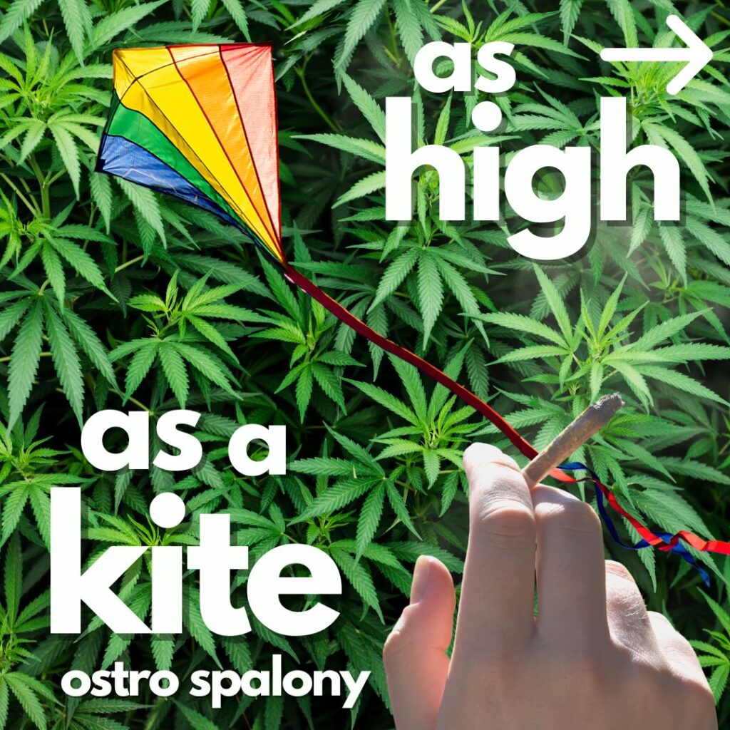 As high as a kite