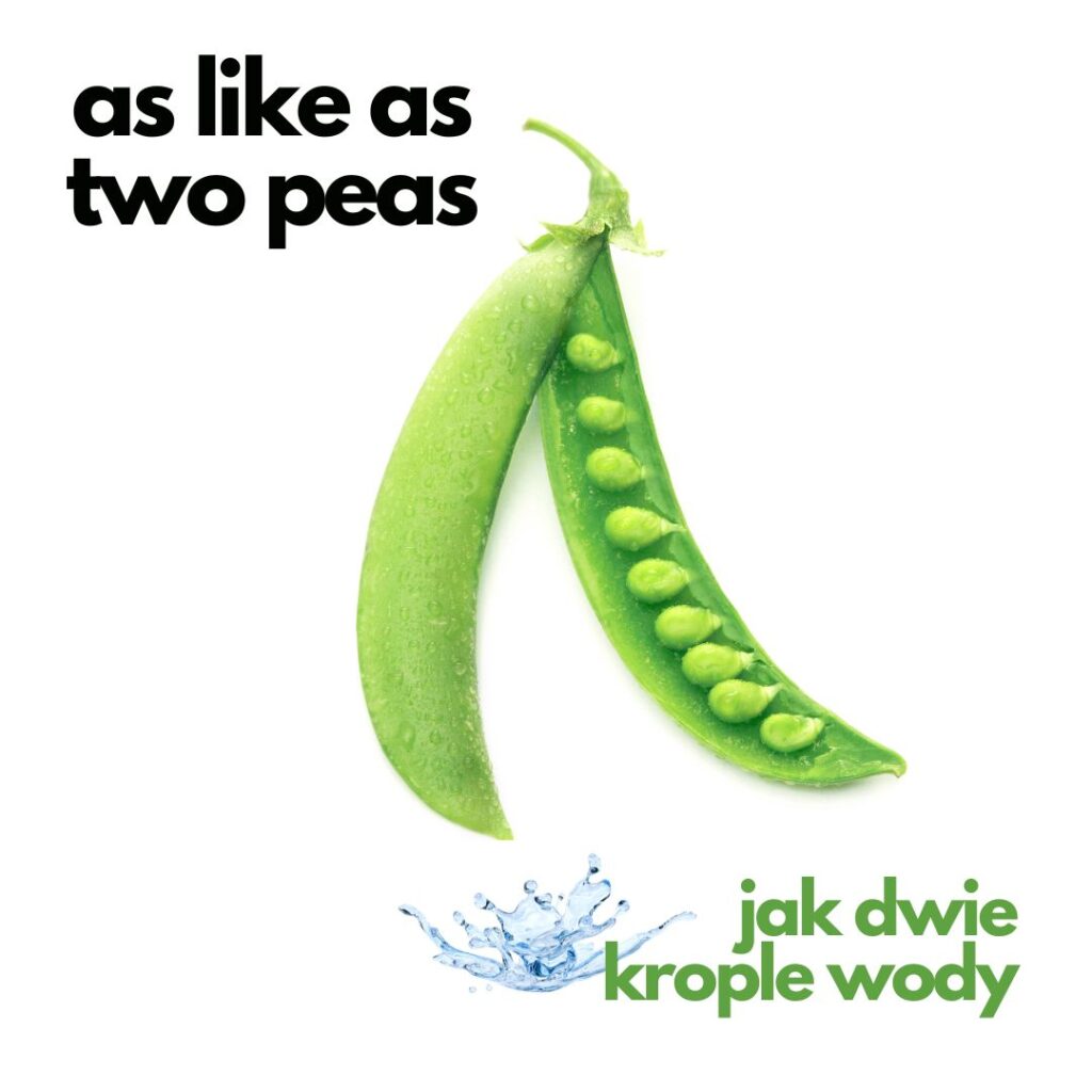 As like as two peas