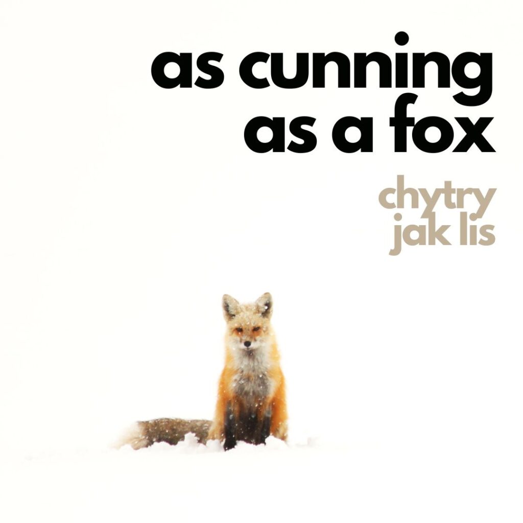 As cunning as a fox