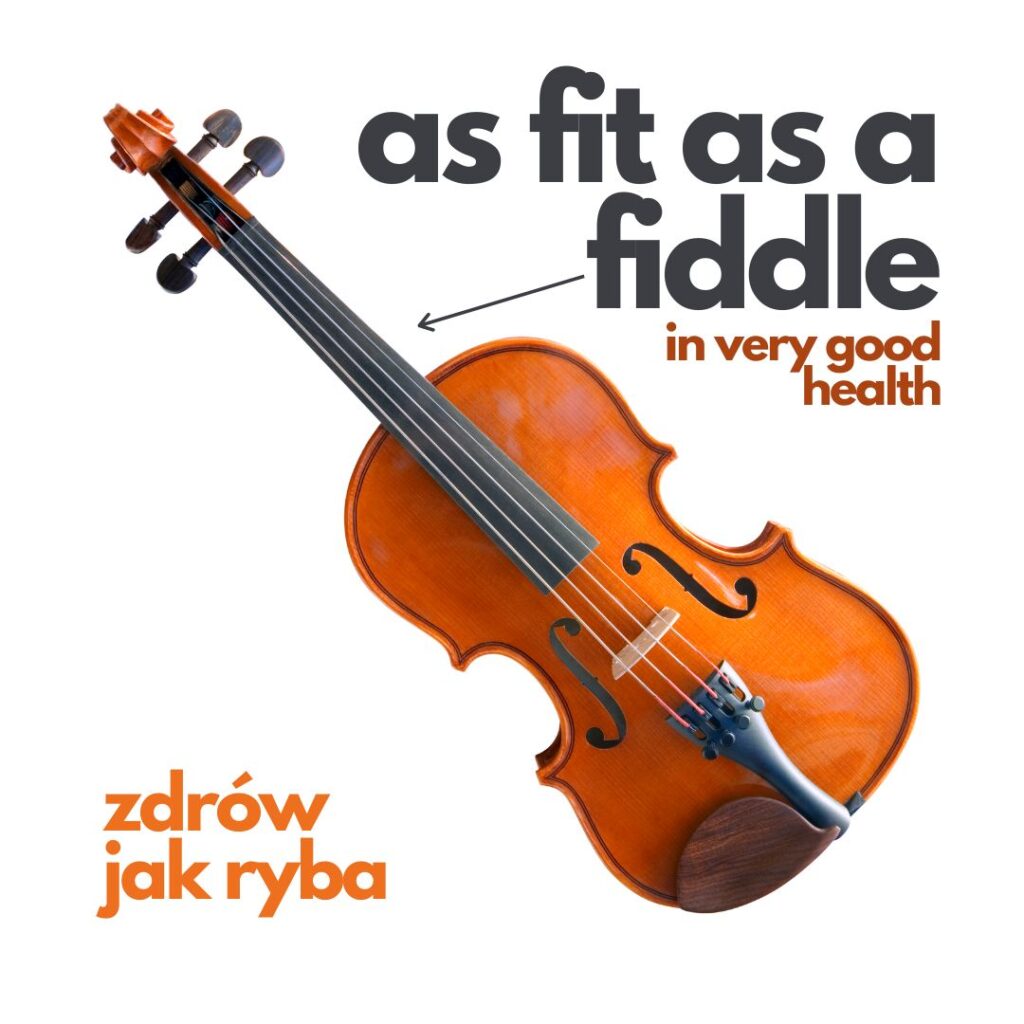 As fit as a fiddle