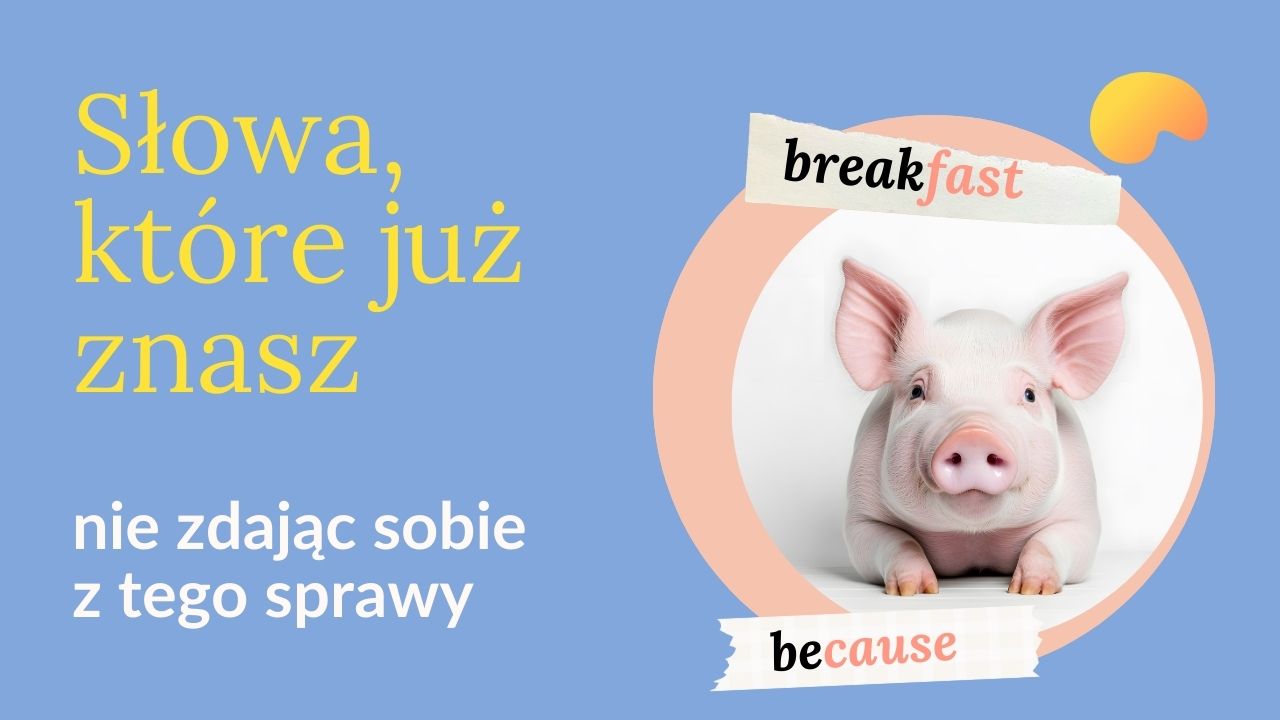 Słowa złożone – i… słowa, które znasz nie zdając sobie nawet z tego sprawy